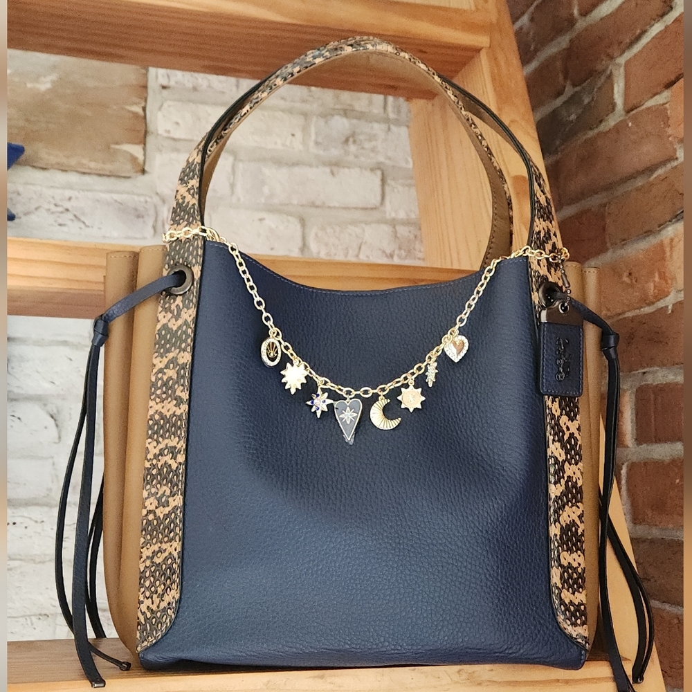 NWT Coach Harmony Hobo In Colorblock